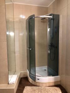 a shower with a glass door in a bathroom at Apartment in Most City, center in Dnipro