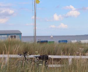 霍瓦赫特的住宿－❤️ KLEINE AUSZEIT ❤️，海滩旁的草地上骑自行车
