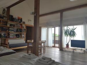 Cet appartement comprend une chambre avec un lit, une télévision et un salon. dans l'établissement Vikingu guest house, à Jurmala