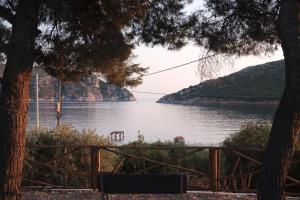Príroda v okolí apartmánu