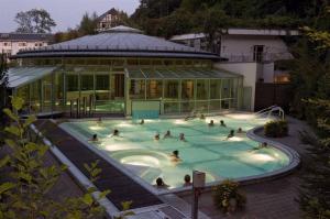 維森巴特溫泉的住宿－Thermalbad Wiesenbad，一群人在一座建筑物的游泳池里
