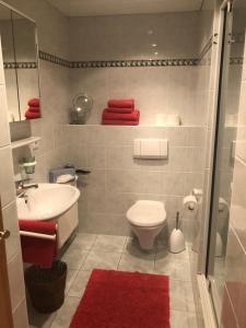 a bathroom with a toilet and a sink and a red rug at Ferienwohnungen Oberau in Berchtesgaden