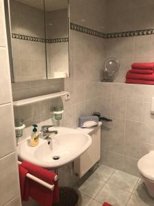 a bathroom with a sink and a mirror and a toilet at Ferienwohnungen Oberau in Berchtesgaden