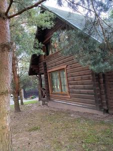 una cabaña de madera con una ventana en el lateral. en Šeimyninis namelis nr.1, en Kurėnai