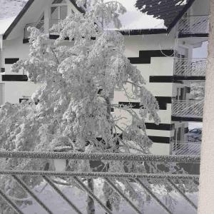 迪夫伊拜的住宿－Apartman Romana Duplex Divčibare，相簿中的一張相片