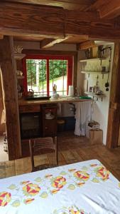a kitchen with a counter and a table in a room at AGROTURYSTYKA TEOSIOWO in Pobiedna