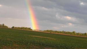 a rainbow in the sky over a green field at Ferienwohnung Villa am Schloßberg in Bad Berka