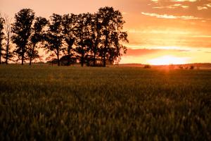 Fotografia z galérie ubytovania Gościniec nad Wkrą v destinácii Błędowo