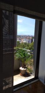ポルトにあるTrindade Apartmentの窓(鉢植えの植物付)