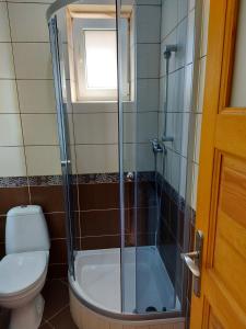 a bathroom with a shower and a toilet and a sink at Apartament wakacyjny Chałupy in Chałupy
