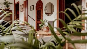 una habitación con sillas y una mesa con plantas en Casa Los Lirios, en Santa Brígida