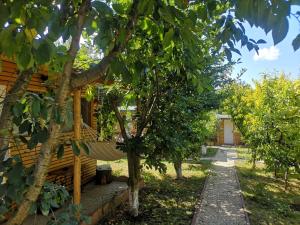 ein Baumhaus mit einer Hängematte im Hof in der Unterkunft Relax Eaza - Casa cu Hamac in Constanţa
