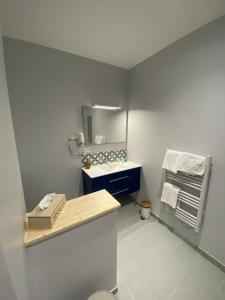 a bathroom with a sink and a mirror at Studios Pellisson in Cognac