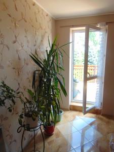 a room with potted plants and a sliding glass door at Gospodarstwo Agroturystyczne Lucynka in Urszulin +3 photos