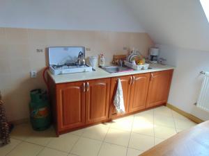 a kitchen with a sink and a counter top at Gospodarstwo Agroturystyczne Lucynka in Urszulin