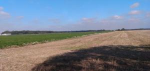 een groot grasveld met een schaduw erop bij Brook Barn B&B in Hale