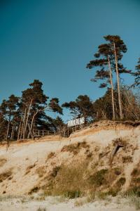 a sign on top of a sandy beach with trees at Lina apartamenti in Jūrkalne