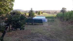 A garden outside Agriturismo Podere Molino