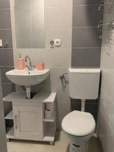Koupelna v ubytování Studio apartman Miko