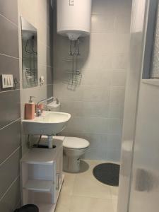 Koupelna v ubytování Studio apartman Miko
