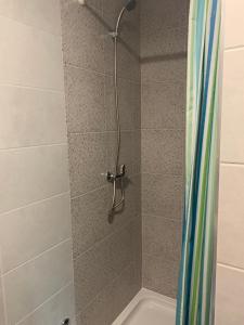 Koupelna v ubytování Studio apartman Miko