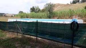 The swimming pool at or close to Agriturismo Podere Molino