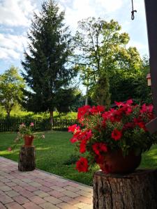 Afbeelding uit fotogalerij van Mánfa-gyöngy Vendégház in Mánfa