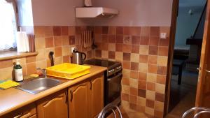 扎科帕内Noclegi Zakopane的一个小厨房，里面有水槽和炉灶。