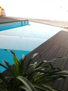 una casa con piscina y una planta en Oporto Guesthouse Ermesinde, en Ermesinde