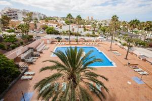 eine Aussicht über einen Pool mit Stühlen und einer Palme in der Unterkunft Apartment Acapulco Sunset View in Playa Fañabe
