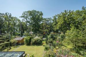 ein Garten mit vielen Pflanzen und Bäumen in der Unterkunft Haus Bea in Rickenbach