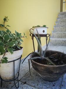Fotografia z galérie ubytovania A Maquia Do Pousavedra v destinácii Sober