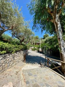 a dog is standing next to a stone wall at Villaggio Syrenuse Residence in Massa Lubrense