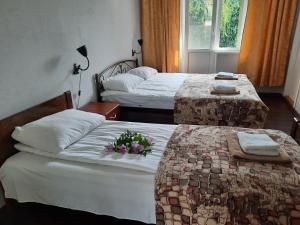 Postel nebo postele na pokoji v ubytování База відпочінку МегаПарус