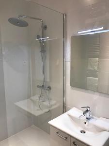a bathroom with a shower and a sink and a mirror at Brussel House Basilic in Brussels