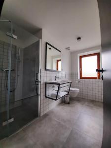a bathroom with a shower and a sink and a toilet at Apartmány Resort Na Horské in Malá Morávka
