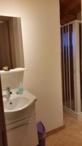y baño con lavabo, espejo y ducha. en Villa Morgante B&B, en Pedara