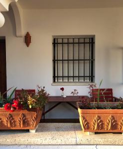 three potted plants and a table in a room at Hostal Alhambra in Zahora