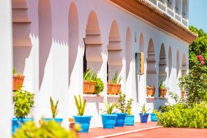 a white building with potted plants in blue pots at Hostal Alhambra in Zahora