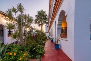a corridor of a building with flowers and plants at Hostal Alhambra in Zahora