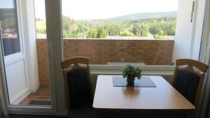 a table with a plant on it in front of a window at Ferienwohnung Harz in Altenau
