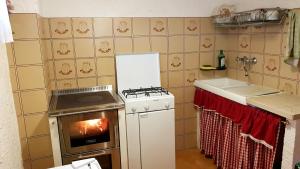 a small kitchen with a stove and a oven at Baita Martin da Fist in Caderzone