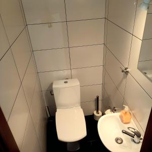 a bathroom with a white toilet and a sink at Apartment 3 Minuten zu Fuss zum Meer (40m²) in Lübeck +4 photos