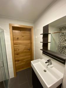 een badkamer met een wastafel en een houten deur bij Apartma LUPIS in Podvolovljek