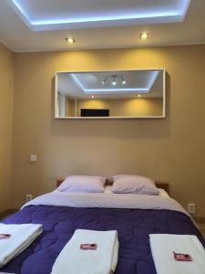 1 dormitorio con 1 cama con espejo grande en W CENTRUM, en Suwałki