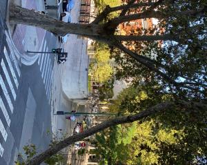 a view of a street with a traffic light and trees at Hostal Mónaco in Valladolid