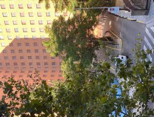 une vue sur un bâtiment et un arbre dans l'établissement Hostal Mónaco, à Valladolid