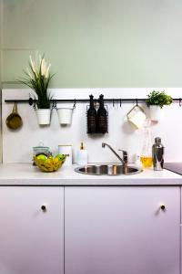 a kitchen counter with a sink and plants on the wall at ZOR ZON studios in Timişoara +23 photos