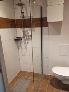 Kúpeľňa v ubytovaní Dmuchawiec