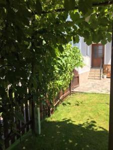 ogrodzenie przed domem z zieloną trawą w obiekcie Helgas Ferienwohnung w mieście Gleinstätten